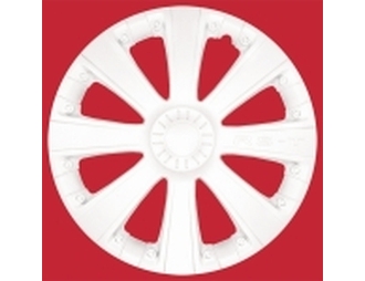 Колпак колесный  RS-T 14 белый. (4)