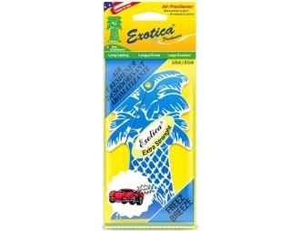 Освежитель Exotica Пальма PT24C1- FBZ (Морозная свежесть)