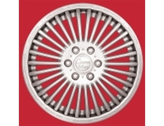 Колпак колесный  Мини-Купер   13